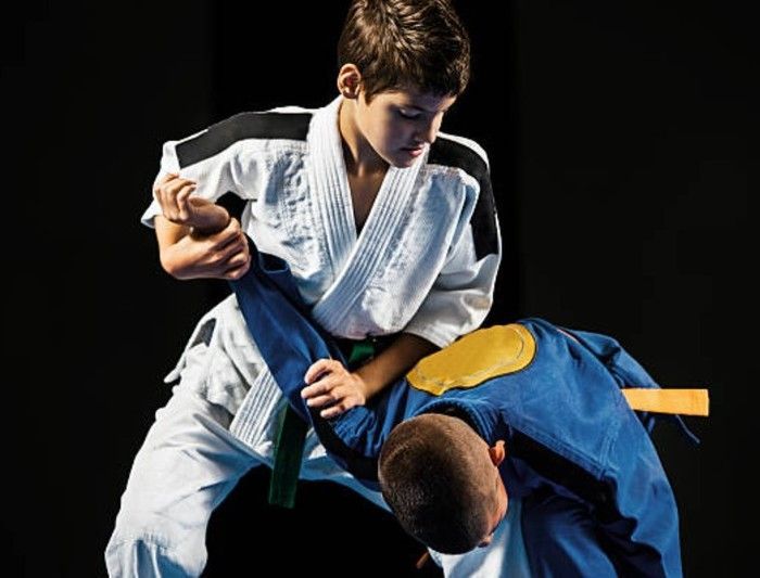 Your Teen Fighter will reach milestones with jiu jitsu training!