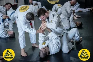 Adult Jiu Jitsu (Ages 16 and up)